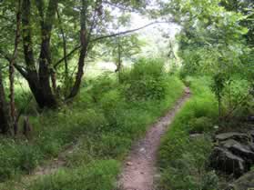 The trail heads towards a meadow after leaving the Dulles Highways.