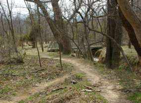 The trail turns to the left to follow a short stream and cross on a bridge.At the creek crossing walk down the gradual slope to the water's edge.