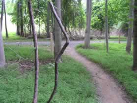 The trail intersects with a wider gravel trail.  Notice the CCT markers.  Turn right to follow the gravel trail.