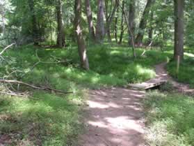 A trail intersects from the left prior to a bridge over a small stream.  Cross the stream on the bridge.