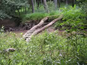 Notice the strange ladder like structure built over the stream.