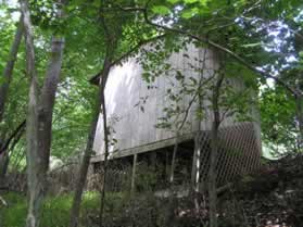 Notice the shed on the side of the trail opposite the stream.  