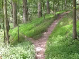 Just after the landmakrs at point 11 take the intersecting trail to the right to climb the hill.