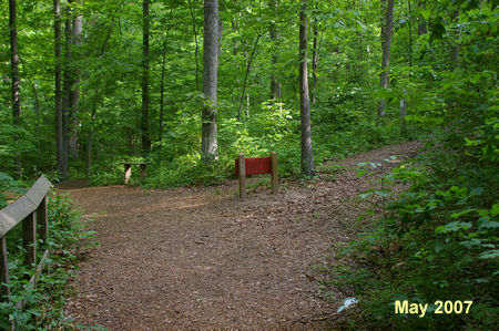 A service road intersects from the right. Stay to the left on the current trail.