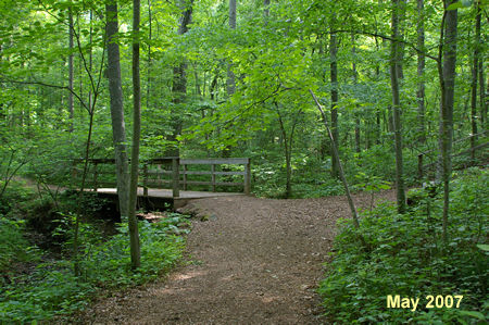 At the next trail intersection turn left to cross the bridge.