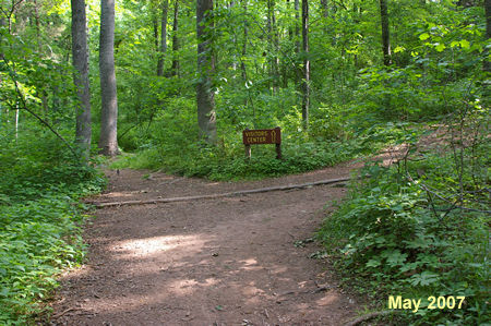 Turn right to go up the hill at the next trail intersection.