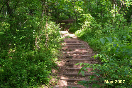 After crossing the bridge the trail climbs a series of steps.