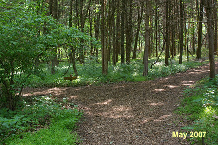 After a considerable distance a sign marked "Wild Turkey Trail" will appear. Take the trail to the right.