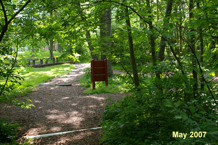 Turn right at the first trail intersection after crossing the bridge.