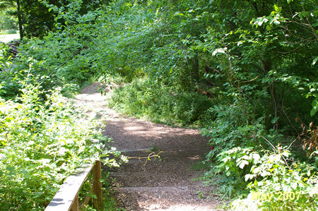 A trail intersects from the right. Turn to the left.