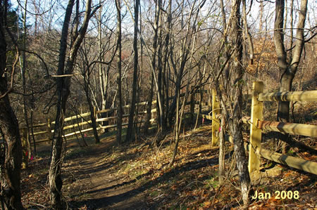 The trail switches back into the other direction to continue down the hill.