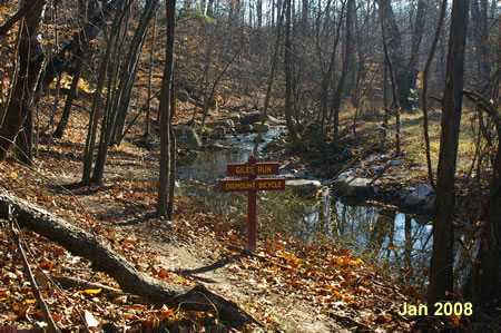 The trail approaches the stream crossing at the bottom of the hill.