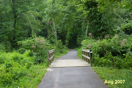 The trail turns to the left and crosses the Glade.