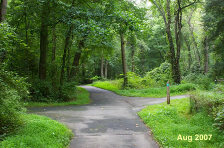 At the next trail crossing turn right to take the short loop, otherwise continue straight for the medium and long loops.