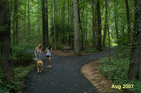 Go right at the next intersecting path and continue up the hill.