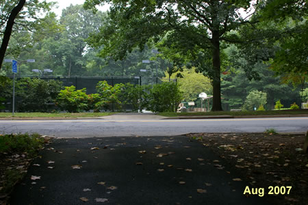 At the top of the hill the path crosses Glade Dr.  Turn right onto the path on the other side.