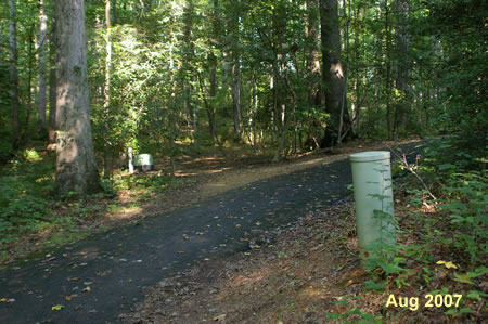 The asphalt trail turns to the right.  Take the natural trail that continues in the original direction from this point.  Do not go up the hill on the pavel trail.