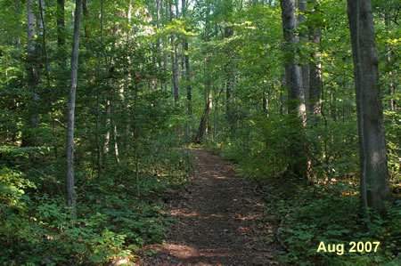 The trail climbs the hill.