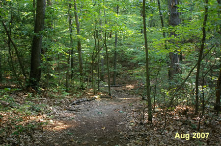 Turn right on the next narrow trail to the right.  It crosses a gully and climbs a hill.