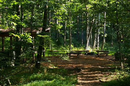 Notice a fire ring to the right of the start of the trail.