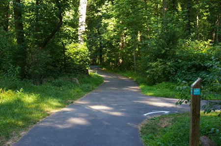 An asphalt trail intersects from the right. Continue straight on the present trail.