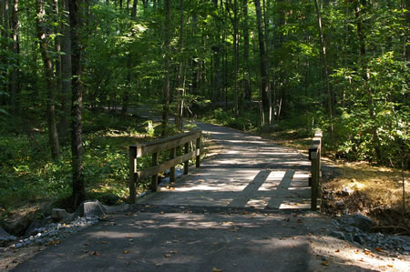 Eventually the trail turns right and crosses the Glade Stream.