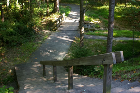 The trail descends a flight of stairs on the other side of Steeplechase Dr.