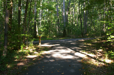 At the intersecting asphalt trail turn left.