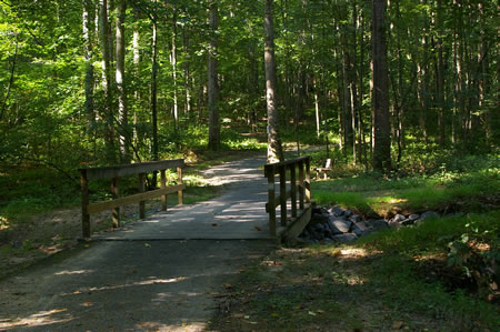 Shortly after turning left the trail crosses Glade Stream again.