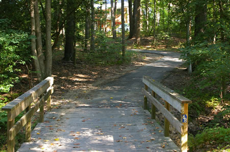 After crossing the bridge the trail turns left to follow the stream.