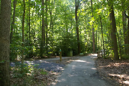 An asphalt trail intersects from the left. Continue straight on the present trail.