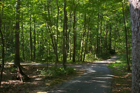 Turn left at the next asphalt trail intersection.