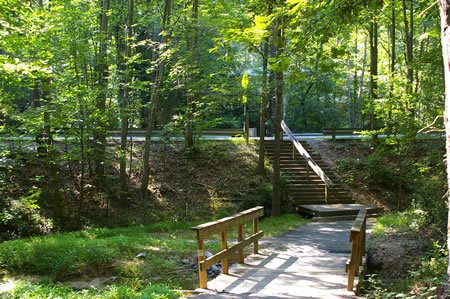 The trail crosses a bridge and climbs the stairs to cross Steeplechase  Dr.