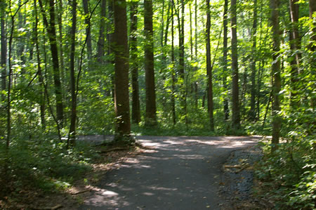 An asphalt trail intersects from the left. Turn left to follow that trail.