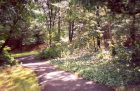 The asphalt trail returns and goes up a hill to the right.