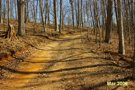 Turn right to follow the trail a short distance to the top of the ridge.