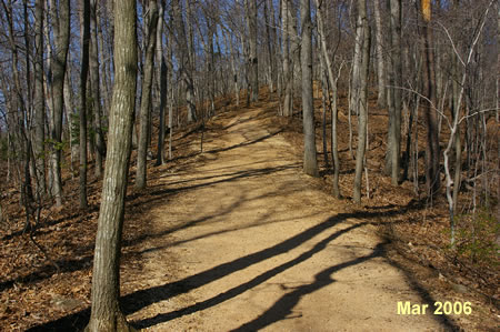 Trn left to follow the Ridge Trail up the hill.