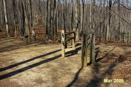 The River Trail intersects from the right. Continue straight on the present trail.