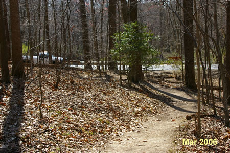 The trail intersects with Route 193.  The parking lot is on the other side of the road.