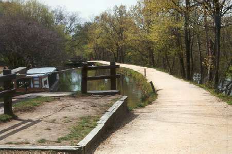 Turn left to follow the towpath with the canal on your left.