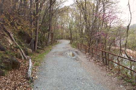 The road gets close to the canal here and a guard rail appears.