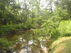 After a short distance the canal is seen with water. The canal empties into a spillway just south of the point shown.