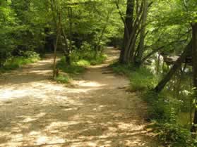 The trail splits just before an intersecting trail to the far parking lot.  Continue straight along the canal.