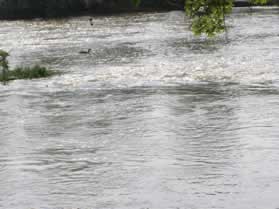 A wing dam located under the rough water in the photo diverts water into the canal.