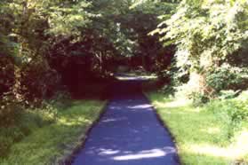 The trail continues through the woods for a short distance.