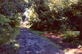 Continue along the asphalt path after the sidewalk ends.