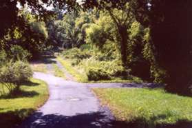 Take the wide asphalt path at the end of Cavendish St.  Turn left onto the asphalt path at the trail intersection a very short distance later.