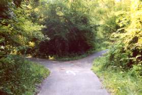 Keep to the left at all asphalt trail intersections. 