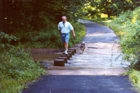 The trail crosses another stream on columns.