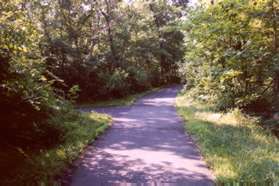 Turn left at the next trail intersection.